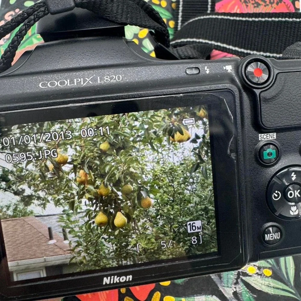 Nikon coolpix l820
